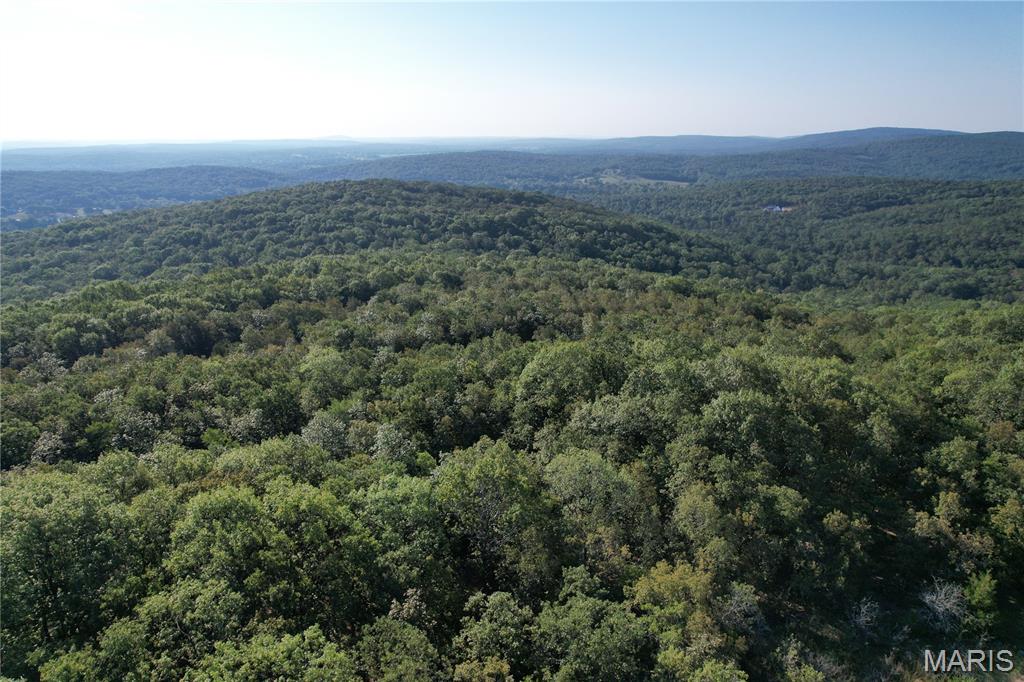 Photo of 1055 Ritter Creek Lane Park Hills MO 63601