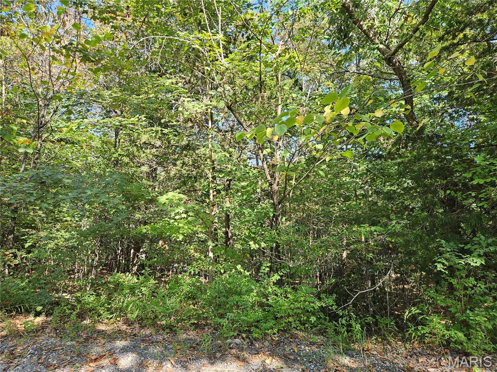 Photo of 9488 Bent Tree Drive Hillsboro MO 63050