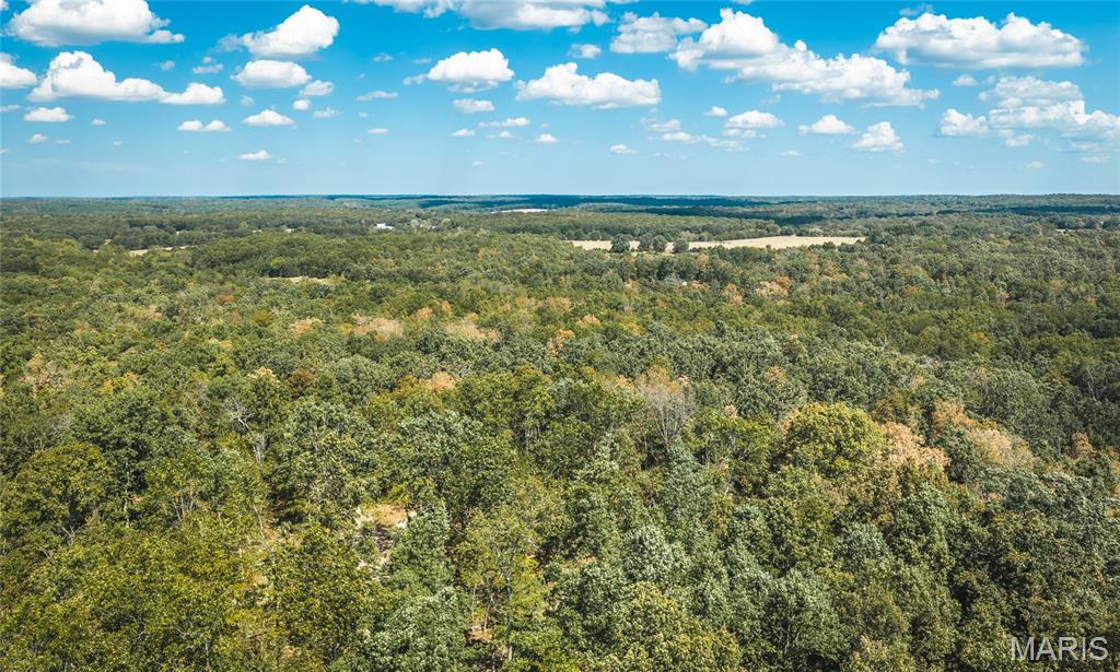 Photo of 000 County Road 2150 Edgar Springs MO 65426