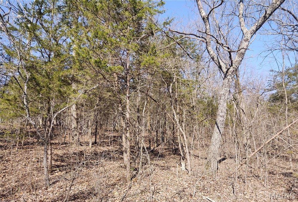 Photo of 0 Rose Drive Bonne Terre MO 63628