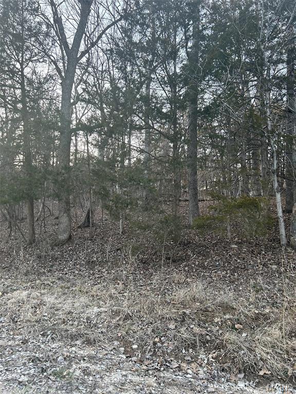 Photo of 121 Briarwood Terrace De Soto MO 63020