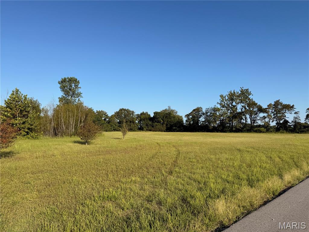 Photo of 8 Harold Cove East Prairie MO 63845
