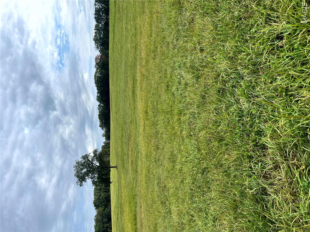 Photo of 19.87 acres on Highway C Leslie MO 63056