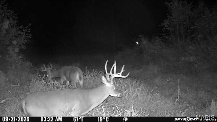 Photo of 00 North Drivers lane Wood Lawn IL 62895