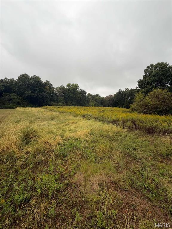 Photo of 20785 Oak Rest Road Brighton IL 62012