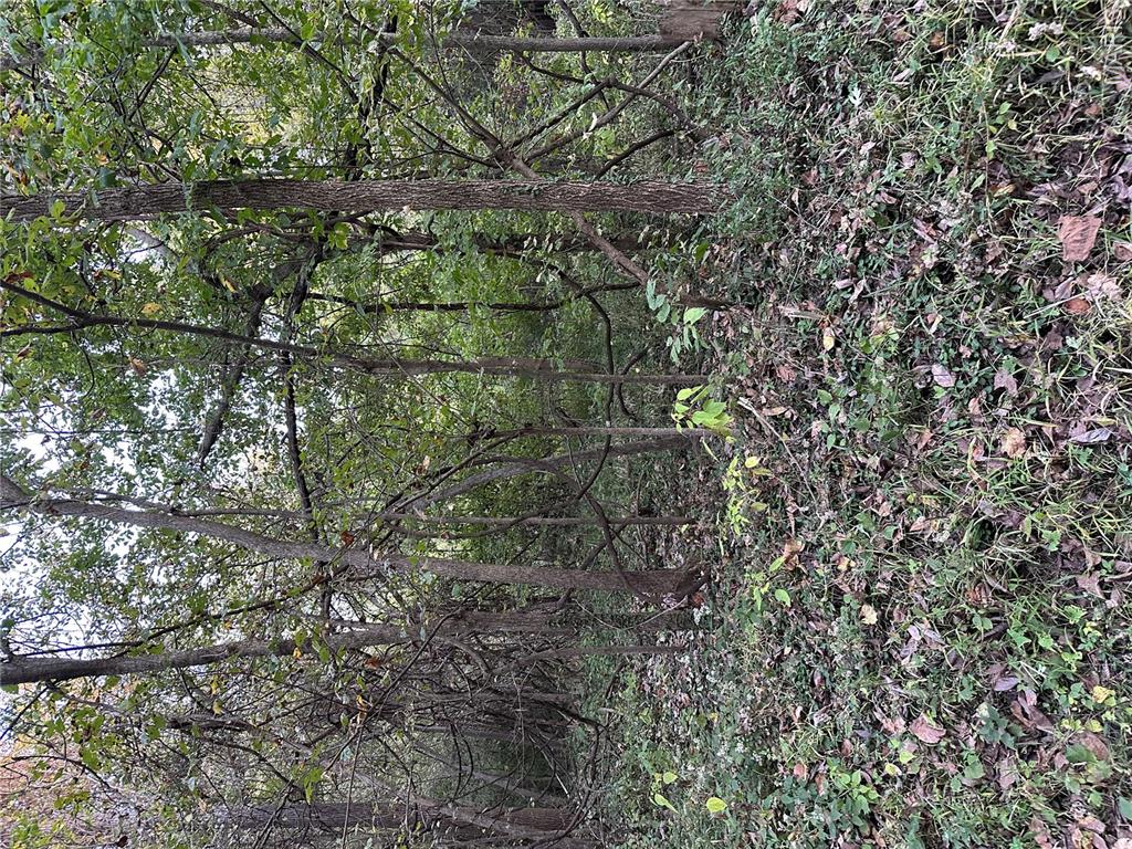 Photo of 0 Corisande Hills Rd. Fenton MO 63026