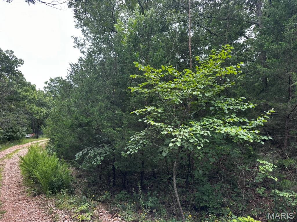 Photo of TBD Spring Lake Dr Avenue Warsaw MO 65355