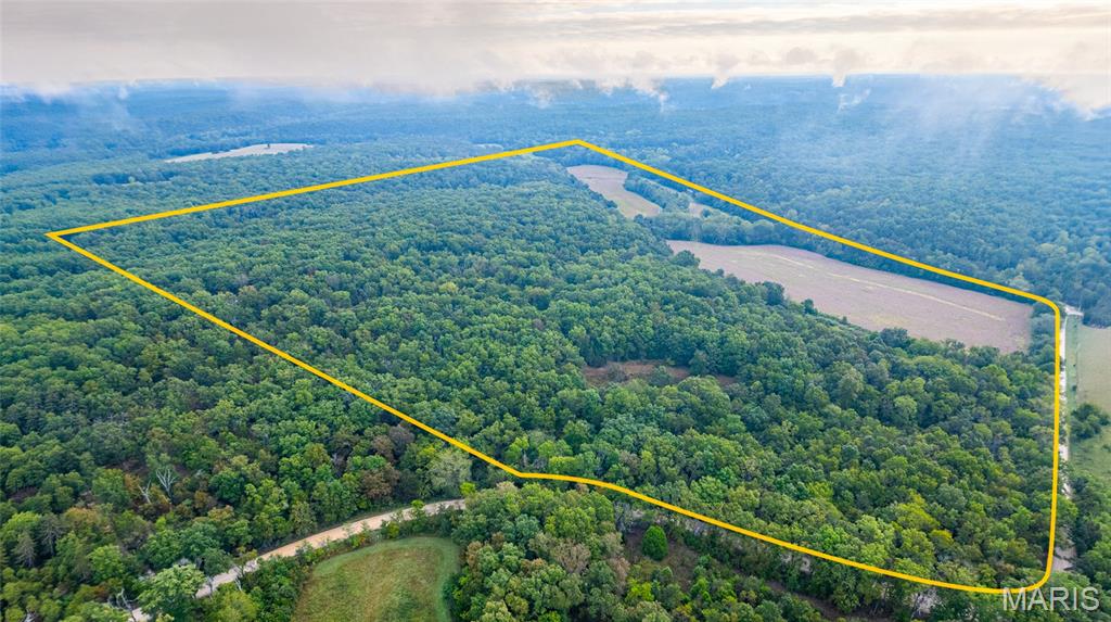 Photo of 21045 County Road 3560 St James MO 65559
