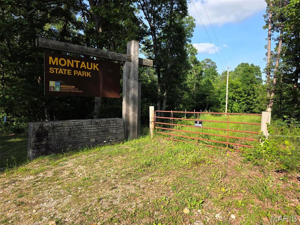 Photo of TBD Highway 119 Salem MO 65560