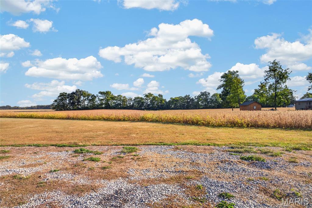 Photo of Lot 1 E Back Street Hecker IL 62248