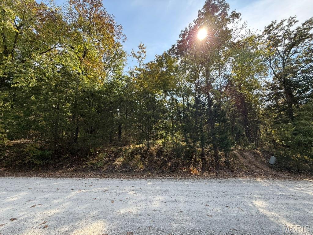 Photo of 6-685 Bunker Hill Drive De Soto MO 63020