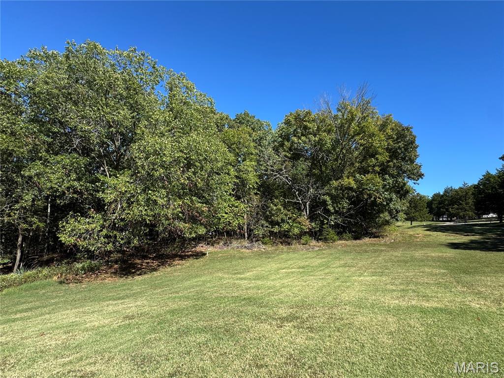 Photo of 5910 Greenwood Drive Hillsboro MO 63050