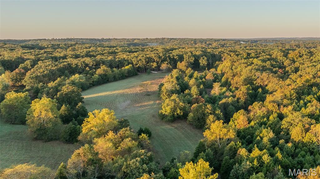 Photo of 000 Private Drive 1063 St James MO 65559