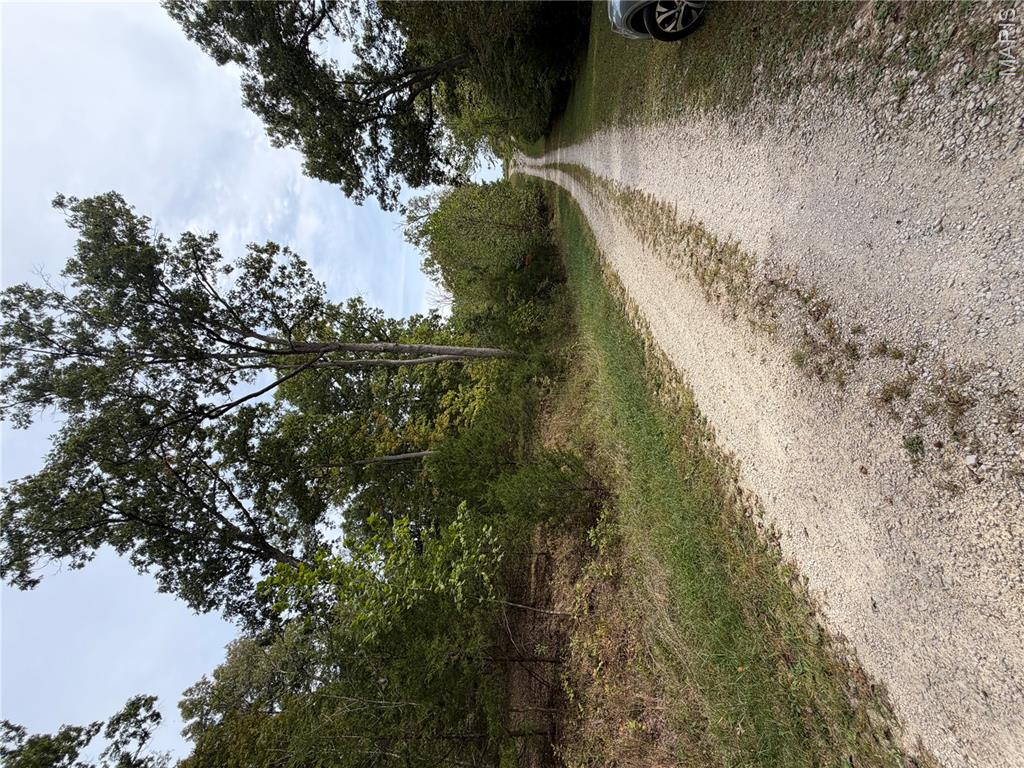 Photo of 0 Allen Road Hillsboro MO 63050