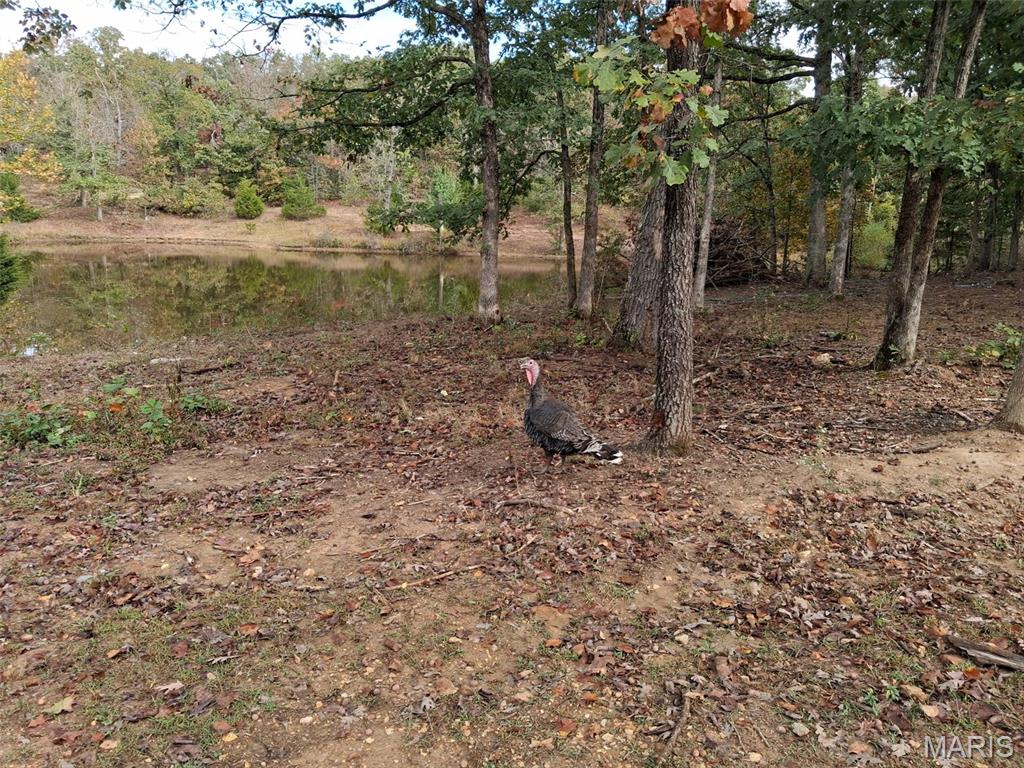 Photo of 0 W 28 Highway Dixon MO 65459