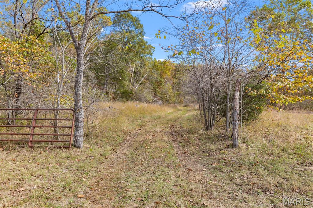 Photo of 00 Dry Gulch Rd Road Richwoods MO 63071