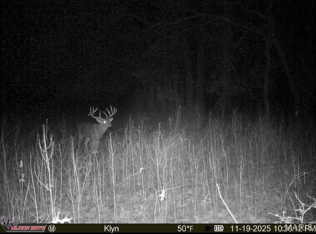 Photo of 0 County Road 700 North Golden Gate IL 62843