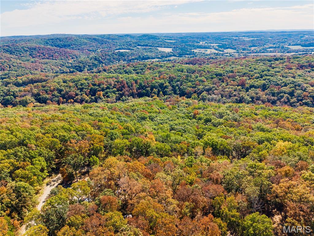 Photo of 0 Kitty Hawk Drive French Village MO 63670