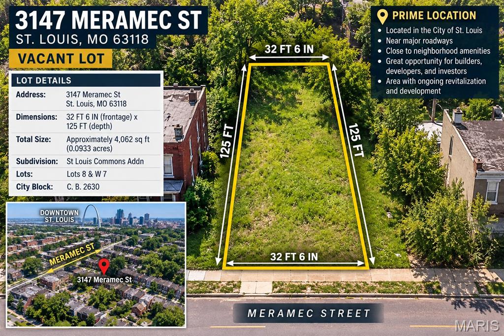 Photo of 3147 Meramec Street St Louis MO 63118