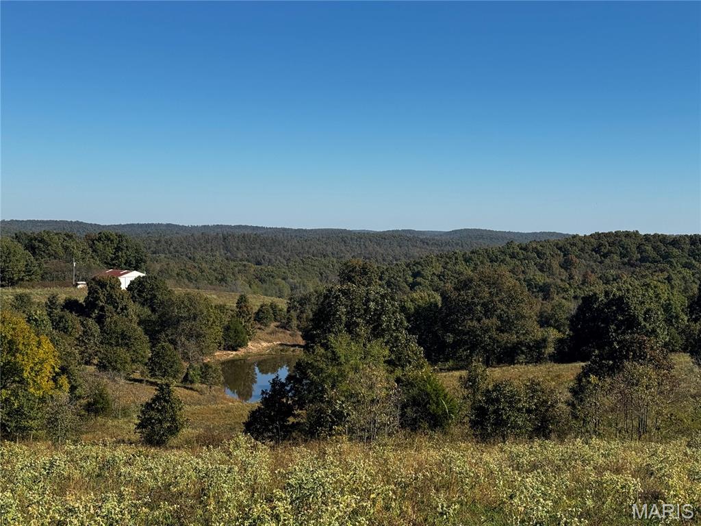 Photo of 16065 HWY 142W Gatewood MO 63942
