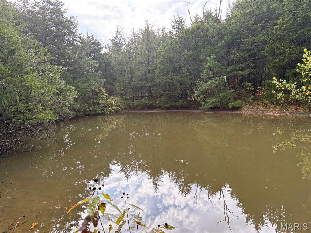 Photo of TBD Barton School Road Brumley MO 65017