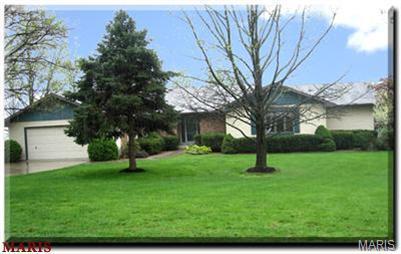 Photo of 44 Dogwood Lane Winfield MO 63389