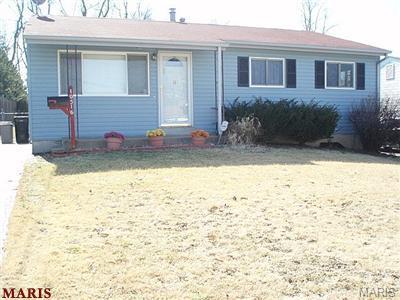 Photo of 10516 Hobday Avenue St Ann MO 63074