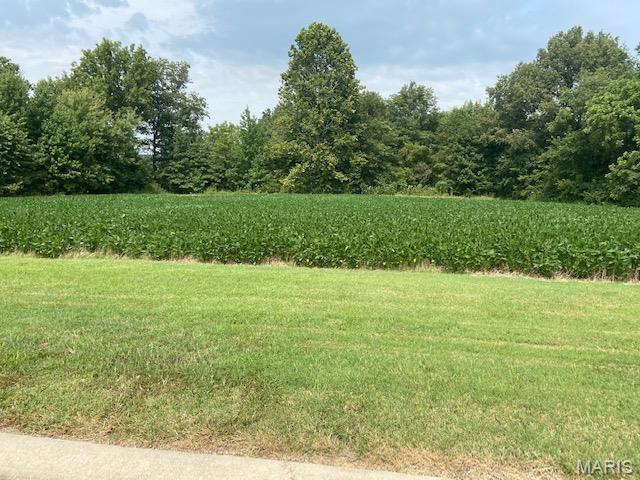 Photo of 0 Brookfield Drive Drive Dexter MO 63841