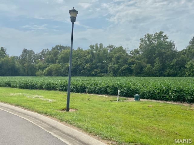Photo of 0 Timber Creek Rd. Dexter MO 63841