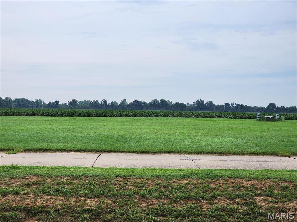 Photo of 807 Bollweevil Blvd Sikeston MO 63801