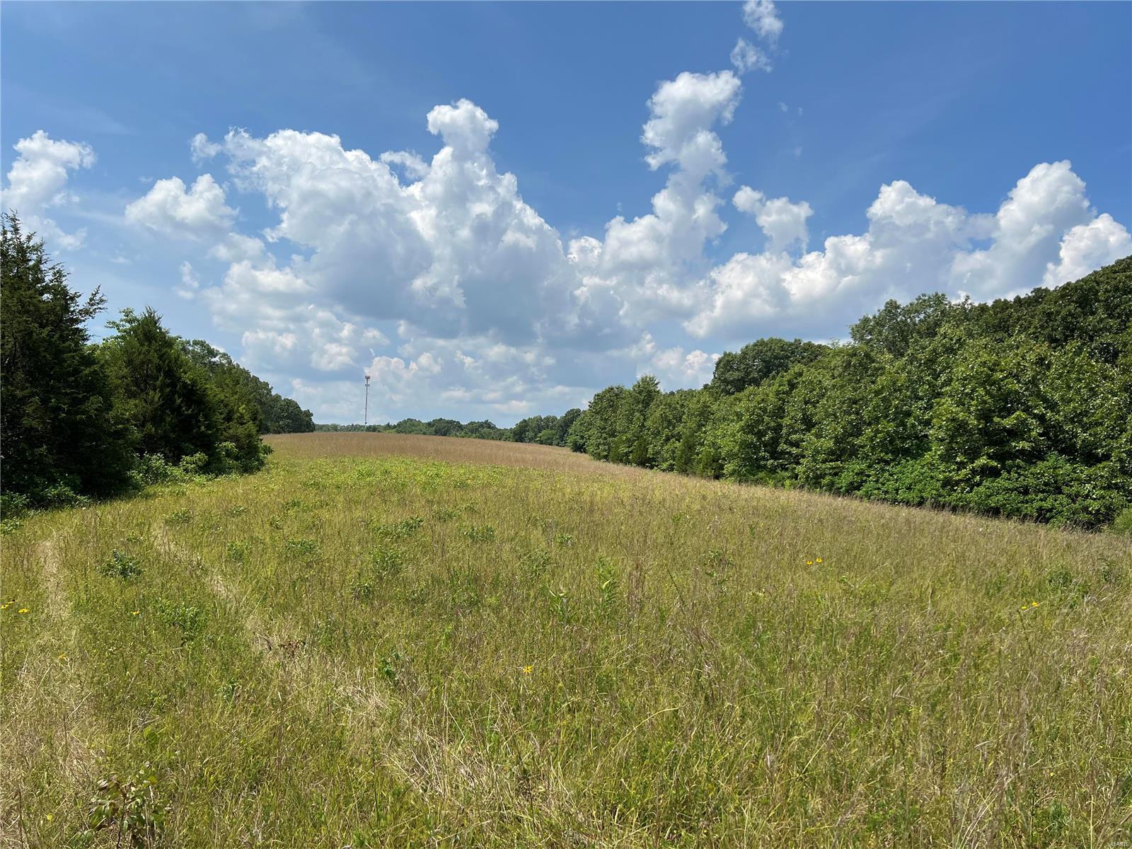 Photo of 5224 Hobby Farms Dr De Soto MO 63020