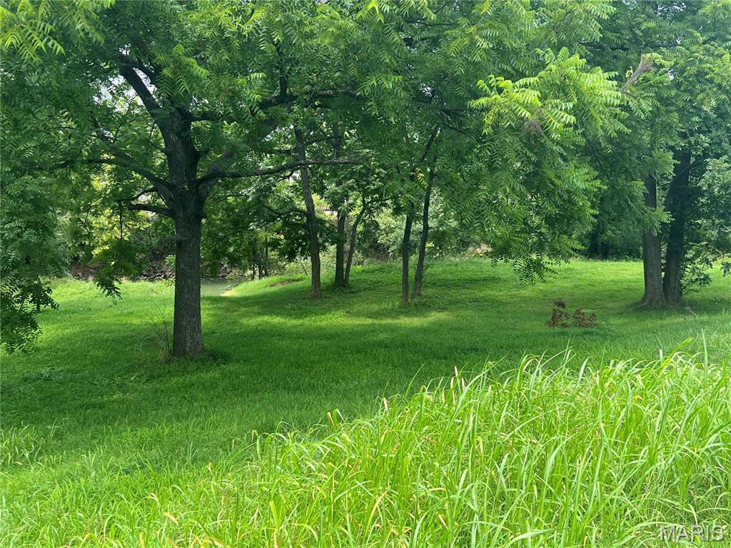 Photo of 707 Riverview Drive N Poplar Bluff MO 63901