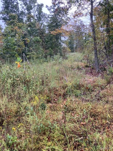 Photo of 32 Madison CR 410 Fredericktown MO 63645