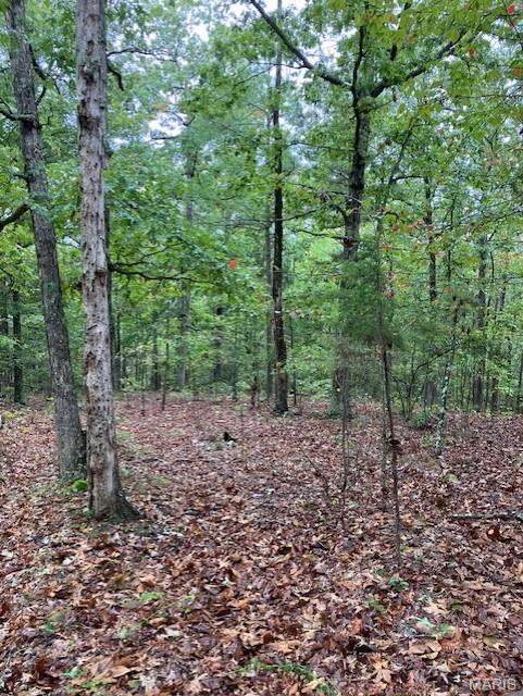 Photo of 34 Madison CR 410 Fredericktown MO 63645
