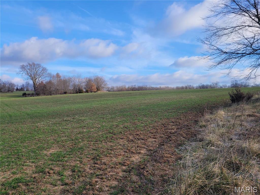 Photo of 0 Bales Rd. (55.3+/- Acres) Middletown MO 63359