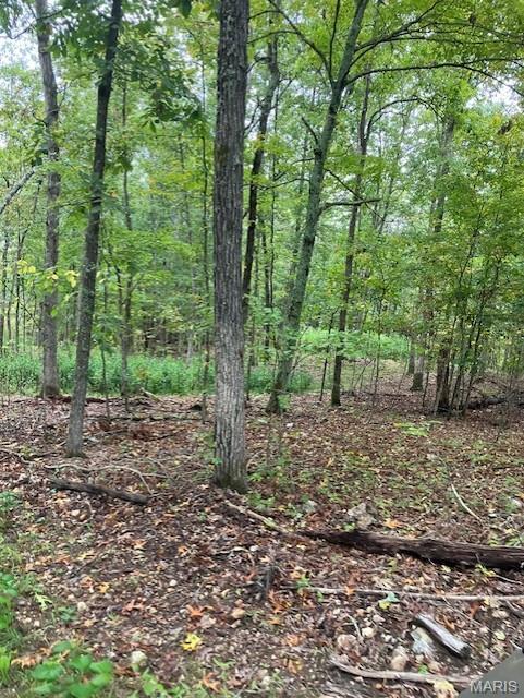 Photo of 99 Madison CR 410 Fredericktown MO 63645