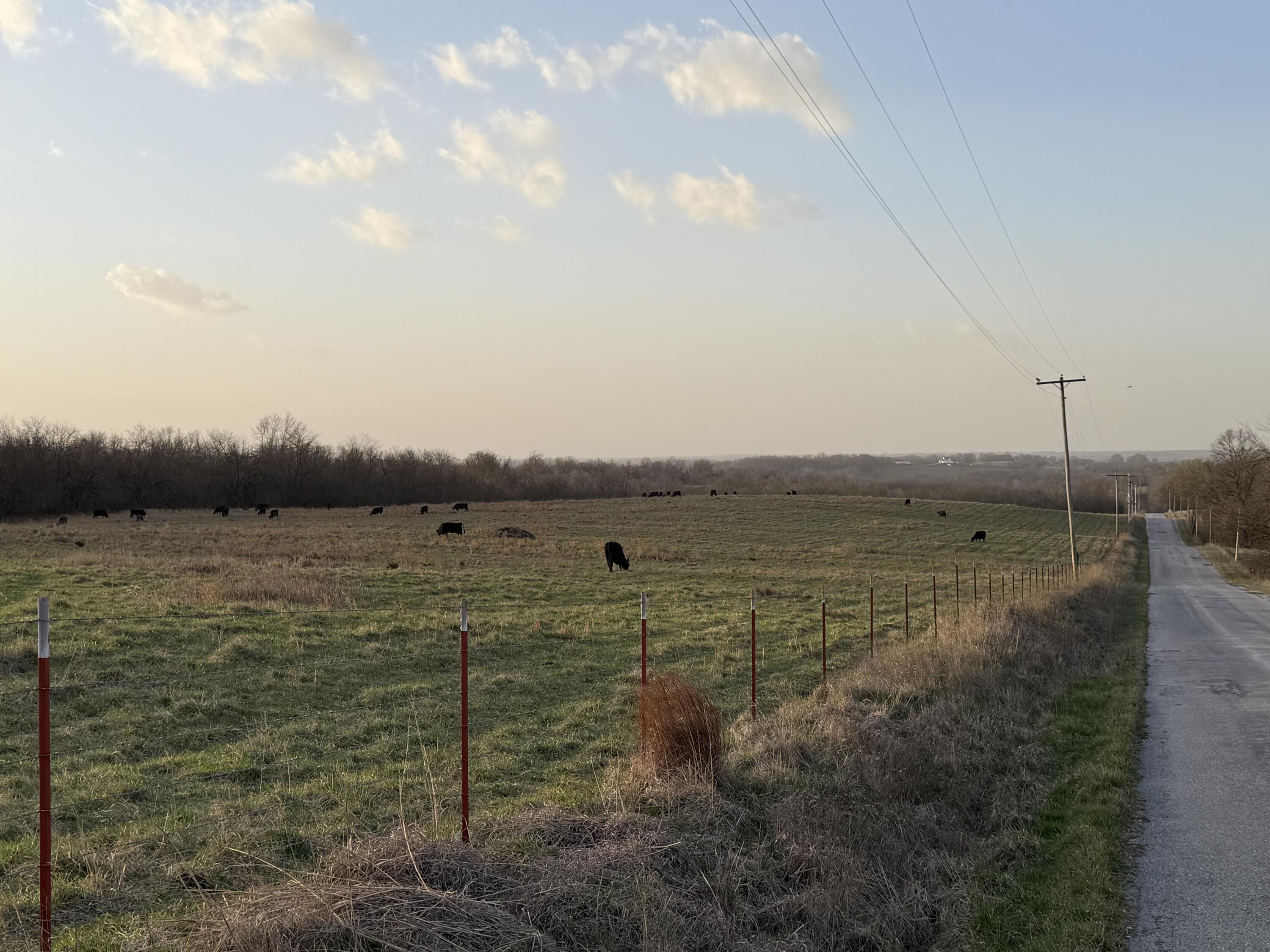 Photo of Tract 3 Dade 142 South Greenfield MO 65752