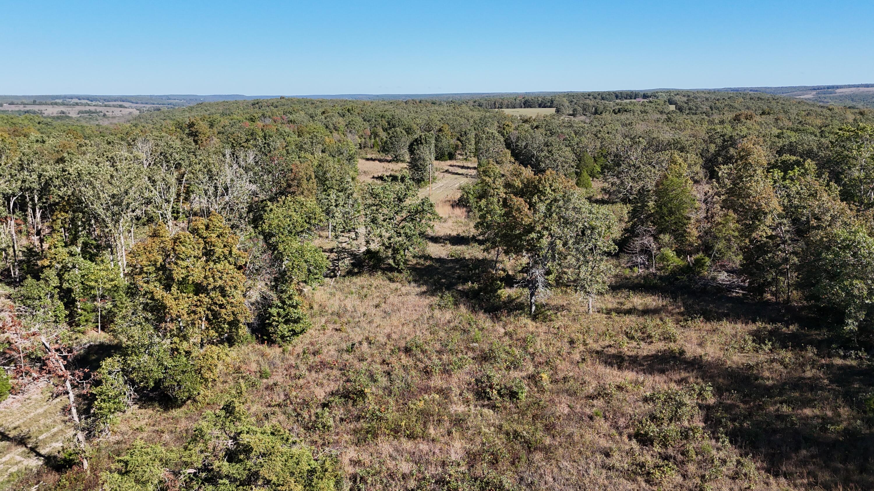 Photo of 000 Stone Ridge Rd Tract B Huggins MO 65484