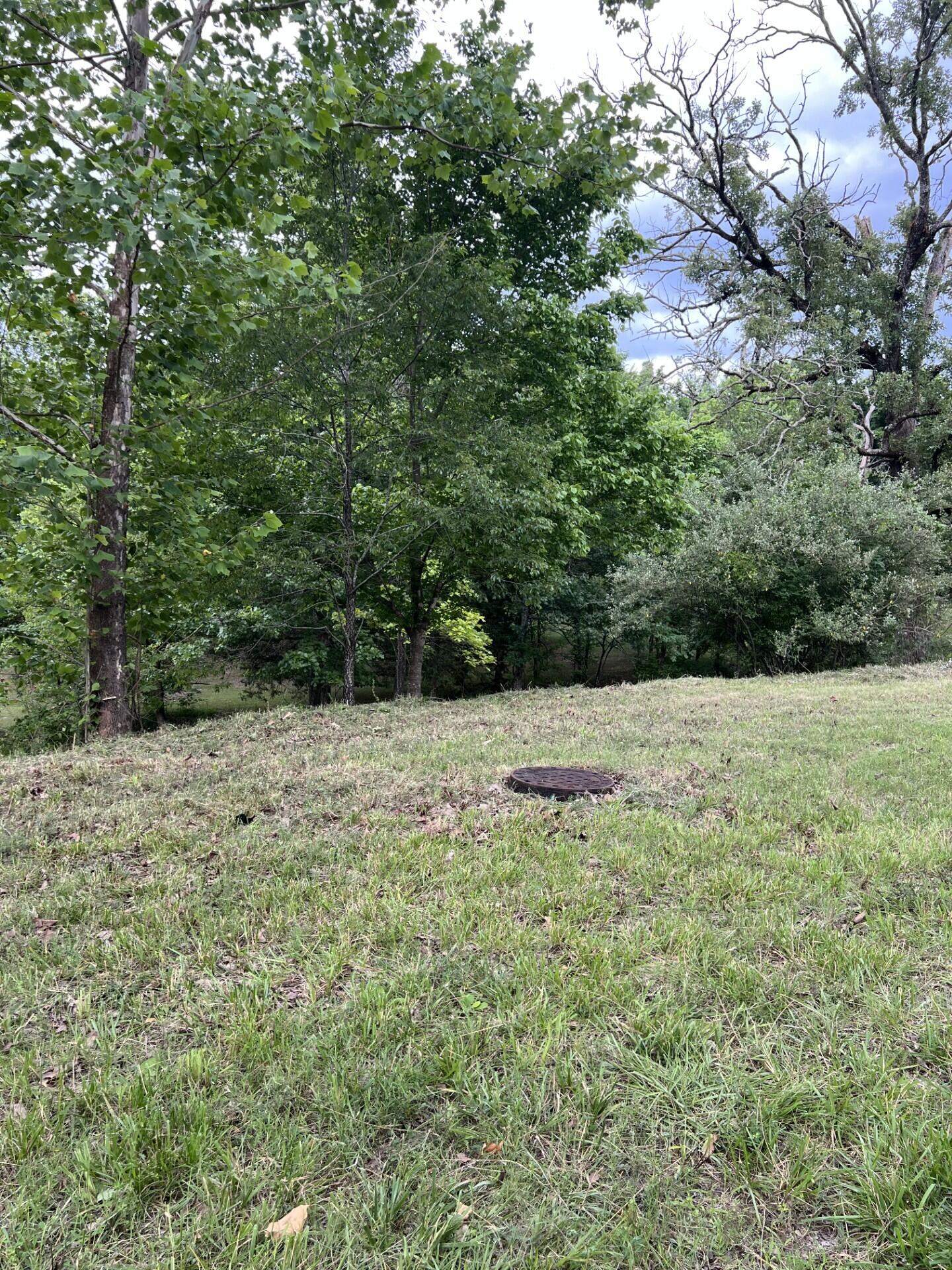 Photo of 000 Vin Villa Forsyth MO 65653