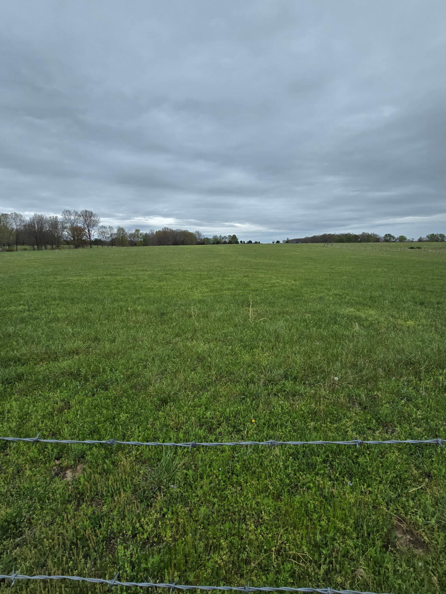 Photo of 000 Adams Lane Rogersville MO 65742