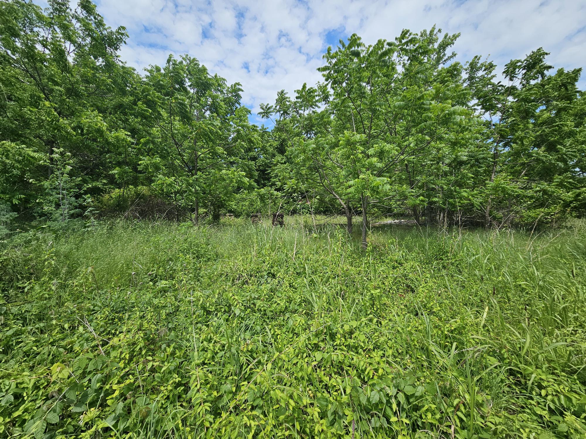 Photo of 000 State Highway K Everton MO 65646