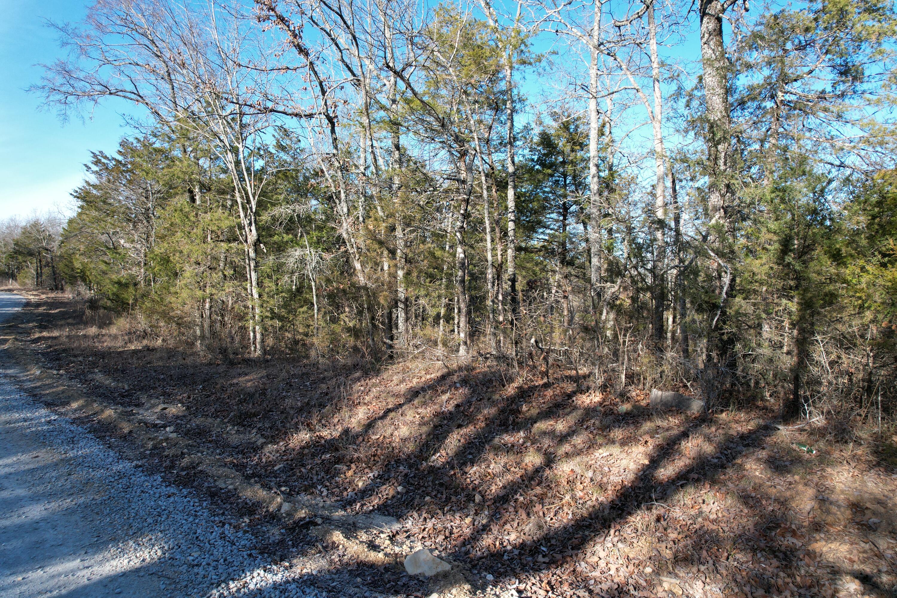 Photo of 000 County Road 904 Theodosia MO 65761