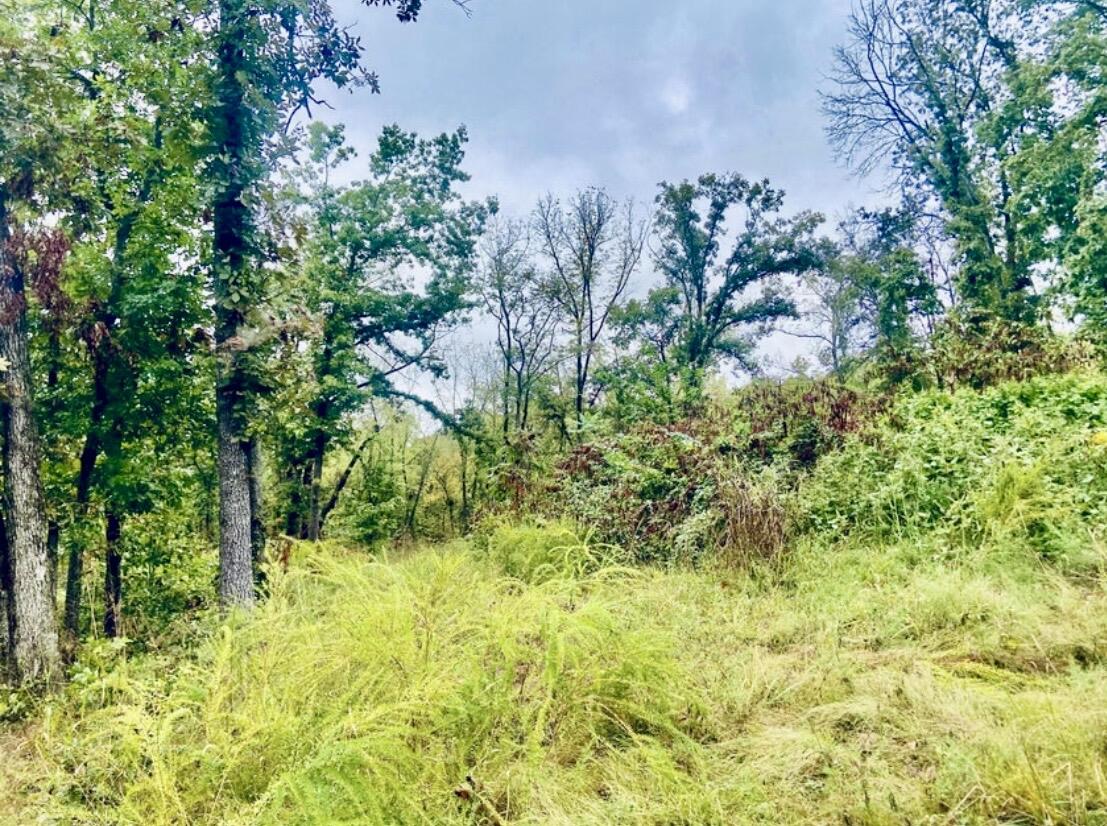 Photo of 294 E Dade 68 Greenfield MO 65661
