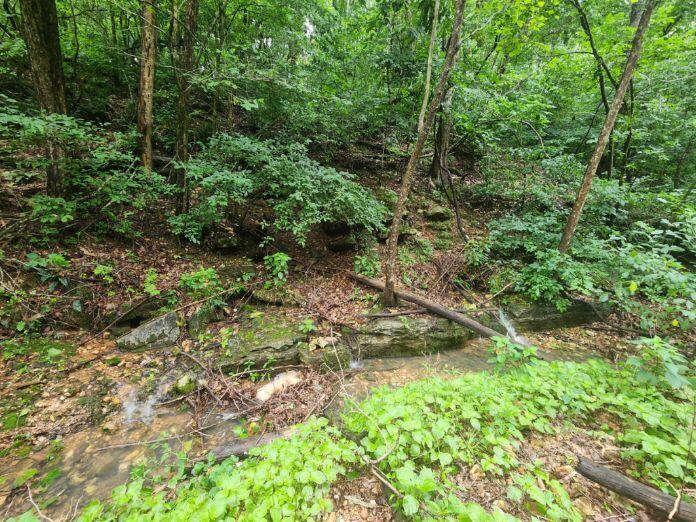 Photo of 513 Stone Road Southwest City MO 64863