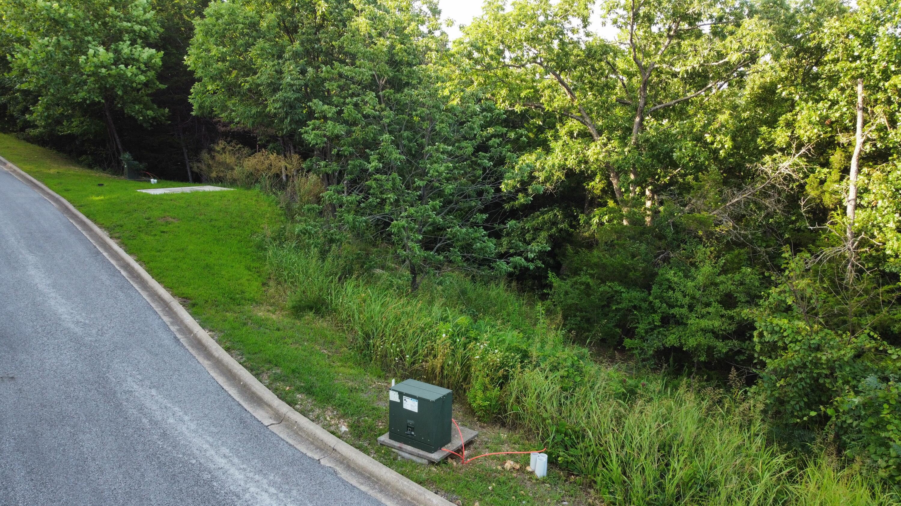 Photo of 000 Flat Rock Road #Lot 51 Hollister MO 65672