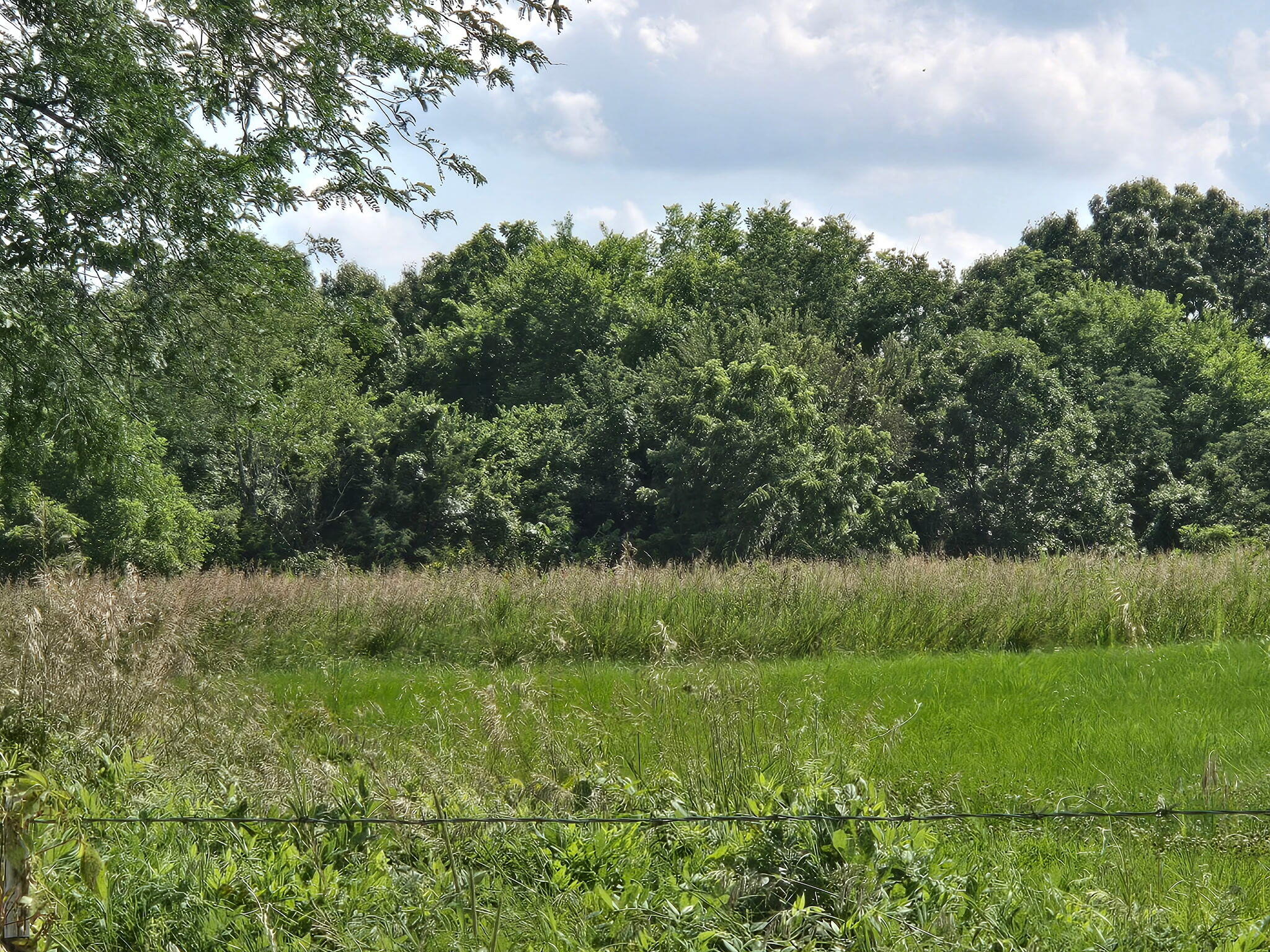 Photo of 000 State Highway 65 Louisburg MO 65685