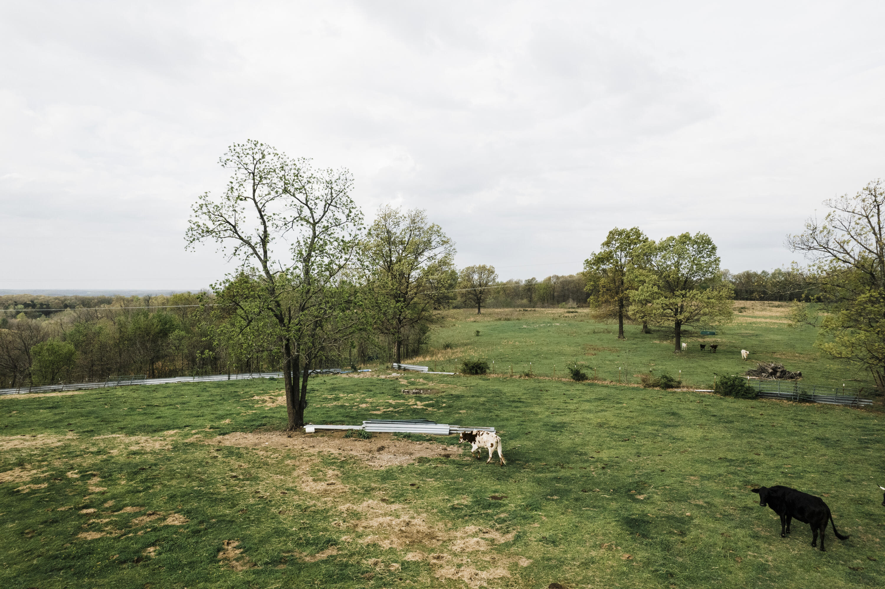 Photo of 000 Buckeye Lane Stella MO 64867