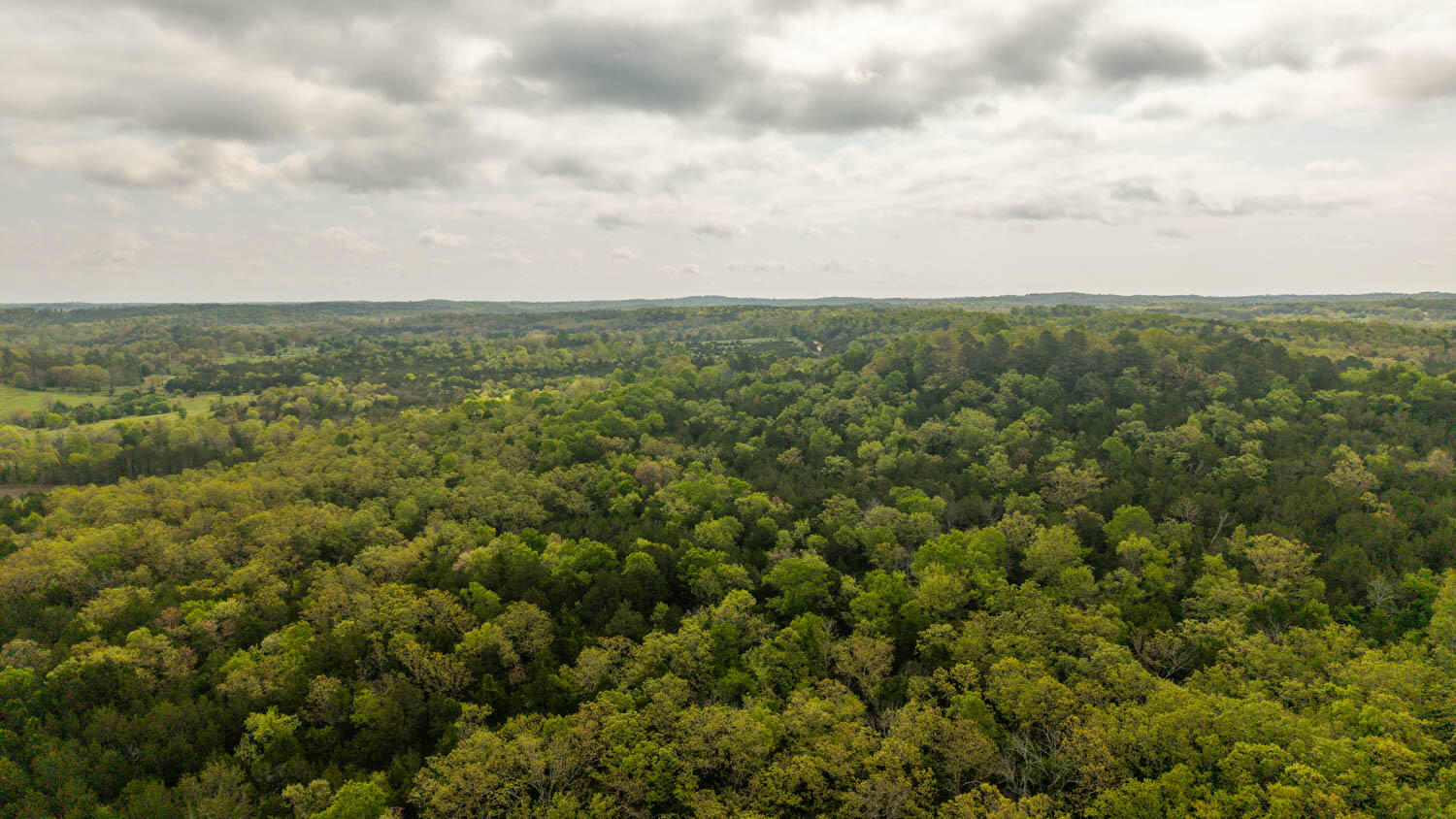 Photo of Tract 1 Little Woods Road Elizabeth AR 72531