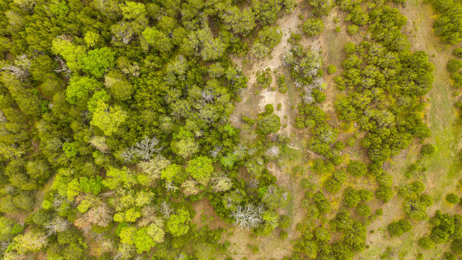 Photo of Tract 3 Little Woods Road Elizabeth AR 72531