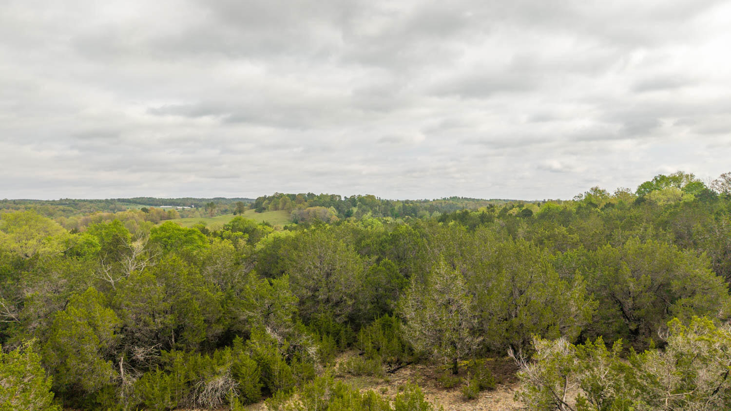 Photo of Tract 5 Little Woods Road Elizabeth AR 72531